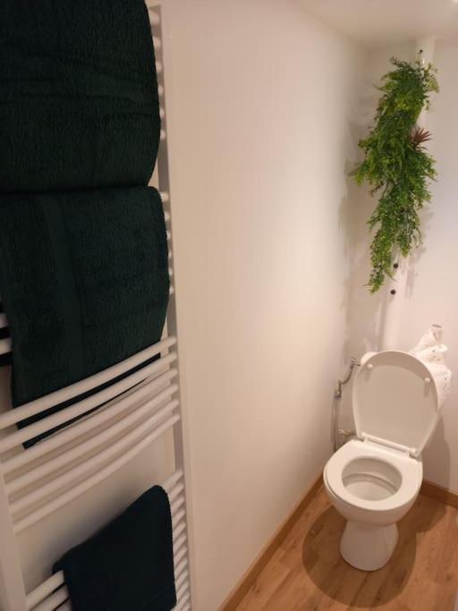Le Charmant Accueil Viennois/T2/Wifi/Cosy/Parking Poitiers Bagian luar foto